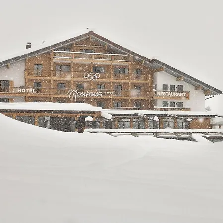 Hotel Hotel&chalet Montana 4*