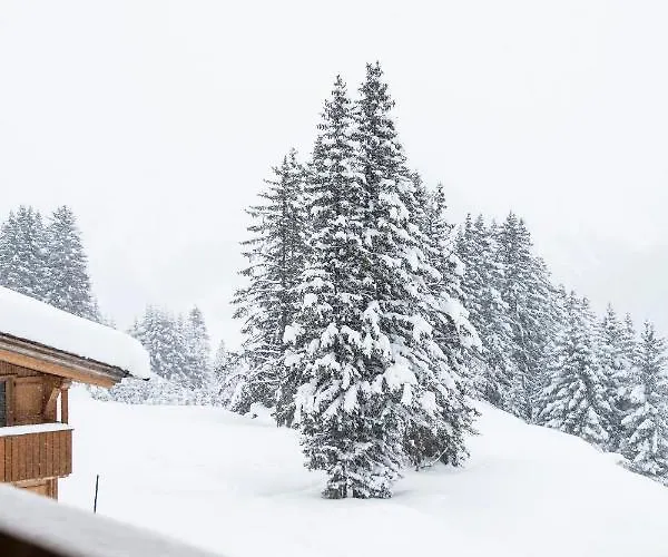 Hotel&chalet Montana Hotel